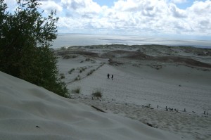 4 sommerskole
