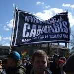 1 cannabis banner