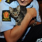 politi-og-katt-klipp_0